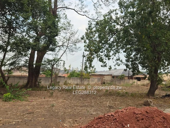 438m² Cold Comfort Stand — Mature Trees & Nearby Development