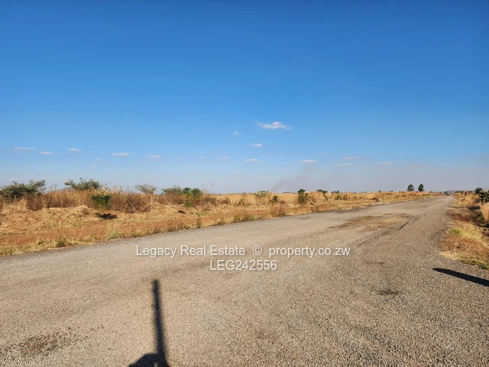 . Exclusive Haydon Park Residential Plots – Clean Paperwork & Ready Deeds