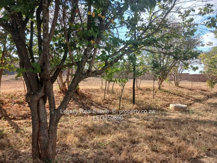 Exceptional Vacant Stand In One Of Harare's Finest Suburbs