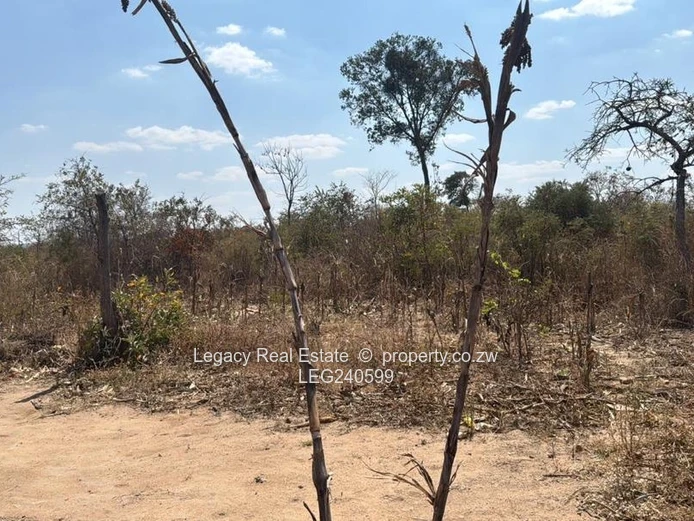Lake City Stand For Sale Near Lake Chivero