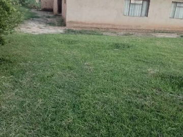 7 Bedroom House
