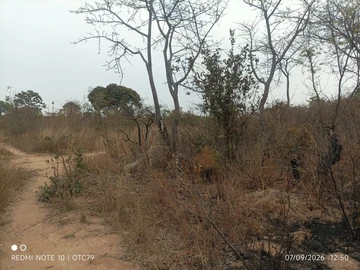 Farm & Agricultural Land
