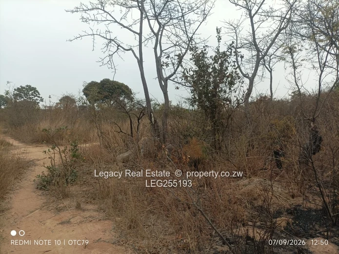 Ruwa 1ha Farm Plot with Gravel Road Access (Sole Mandate)