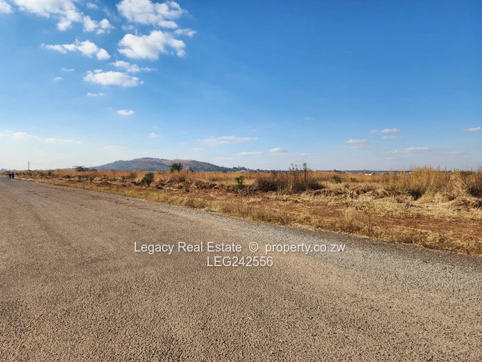 . Exclusive Haydon Park Residential Plots – Clean Paperwork & Ready Deeds