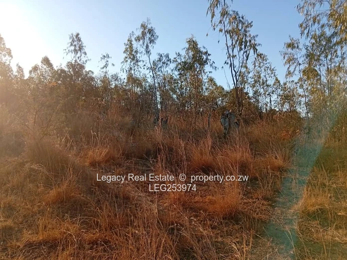 50.6ha Zvimba Farm — Fenced Grazing, Arable Land & Dam (Sole Mandate)
