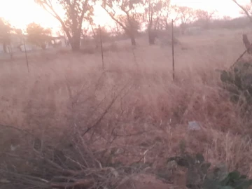 Land