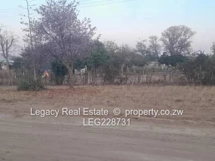 Plumtree Stand for Sale – 1 Hectare