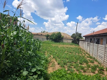 Stands & Residential Land