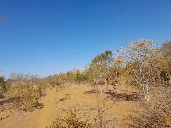 Farm & Agricultural Land