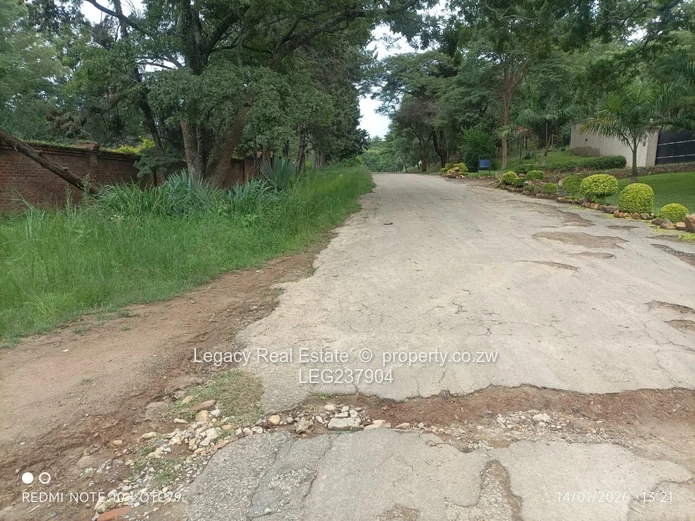 Glen Lorne Estate Property with Deeds ,Golden Oldie on Expansive Land,Ideal for Redevelopment