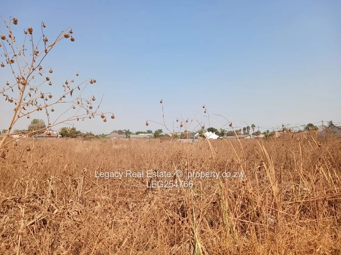 2.3ha Marlborough Land — Subdividable with Main Road Frontage (Sole Mandate)