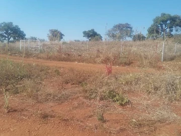 Land
