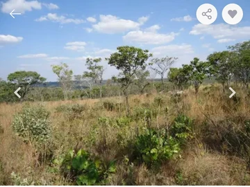 Prime Agricultural Land in Goromonzi: 16,000m² with Utilities