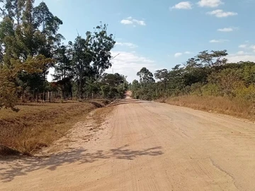 Farm & Agricultural Land