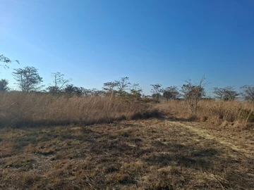 Commercial & Industrial Land