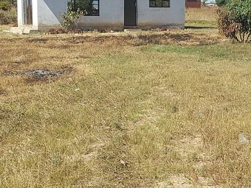 Land