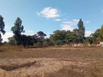 Farm & Agricultural Land