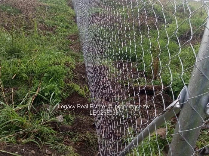 Chainlink-Fenced 1200m² Stand in Fairview — Tarred Road & Water