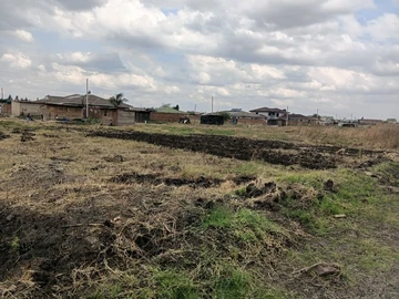 Stands & Residential Land