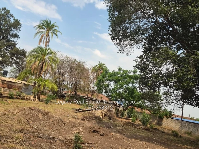 438m² Cold Comfort Stand — Mature Trees & Nearby Development