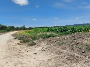 Farm & Agricultural Land
