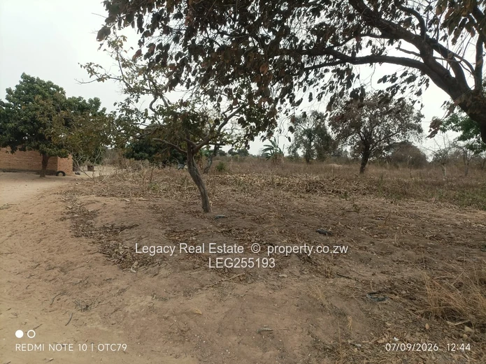 Ruwa 1ha Farm Plot with Gravel Road Access (Sole Mandate)