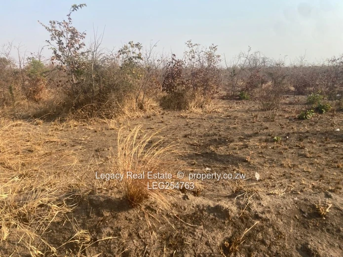 300m² Kadoma Stand — Main Road Frontage, Water & Sewer