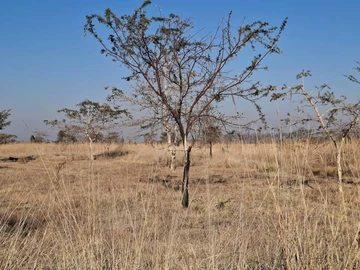 Commercial & Industrial Land