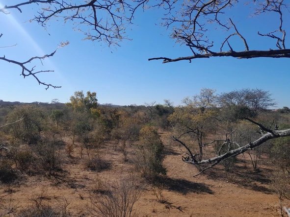 Farm & Agricultural Land