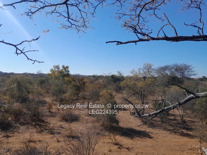  Prime 8.5-Acre Virgin Plot for Sale – Redcliff, Kwekwe (Near Harare–Bulawayo Highway)