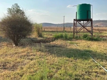Stands & Residential Land