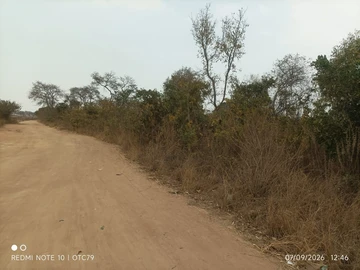 Farm & Agricultural Land