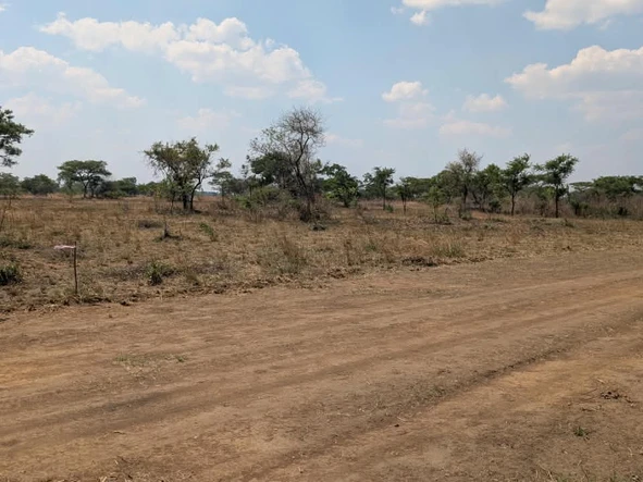 Farm & Agricultural Land