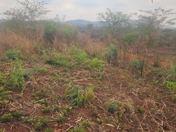 Commercial & Industrial Land
