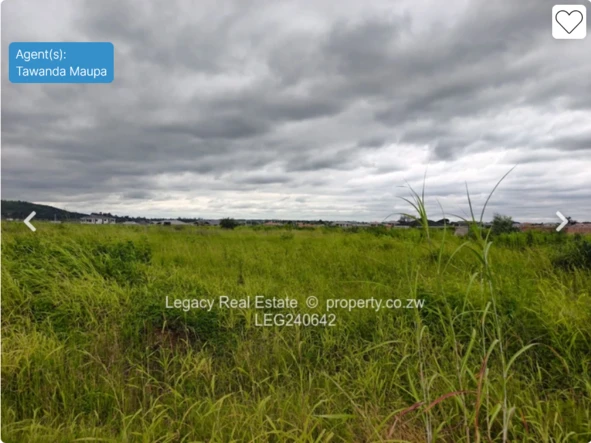 Stands & Residential Land
