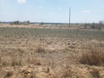 Stands & Residential Land