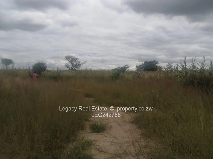 Hot Property Alert: Rydale Ridge Stand for Sale