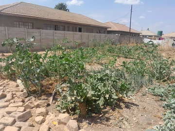Stands & Residential Land