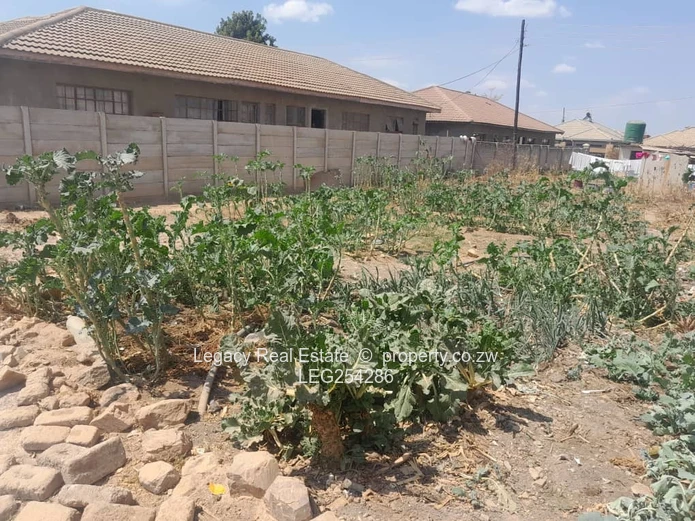 Serviced 300m² Stand in Damofalls — Tarred Road & Water