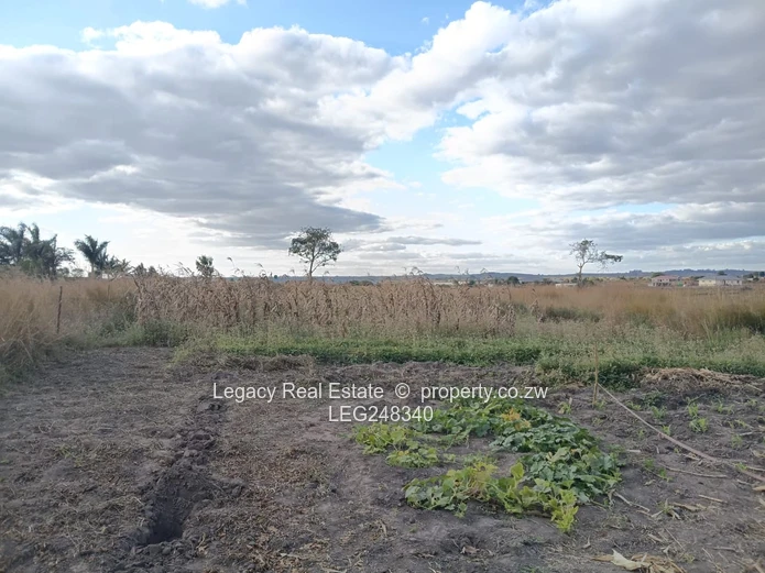 Prime 1-Hectare Plot In Rainham With Reliable Water Supply