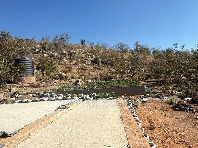 2000m² Elevated Stand with Slab & Core Walls — Crowhill Views