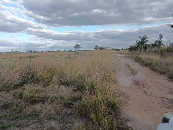 Farm & Agricultural Land