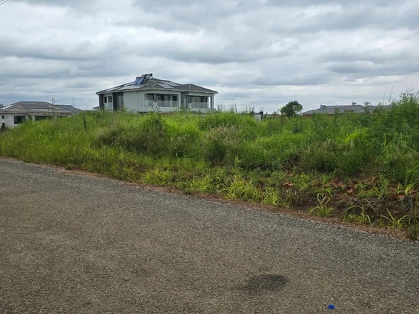 Stands & Residential Land