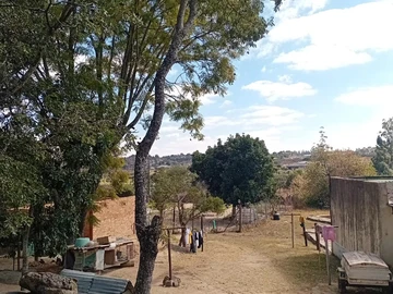 Farm & Agricultural Land