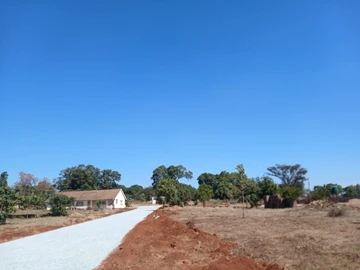 Stands & Residential Land
