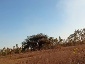 Farm & Agricultural Land