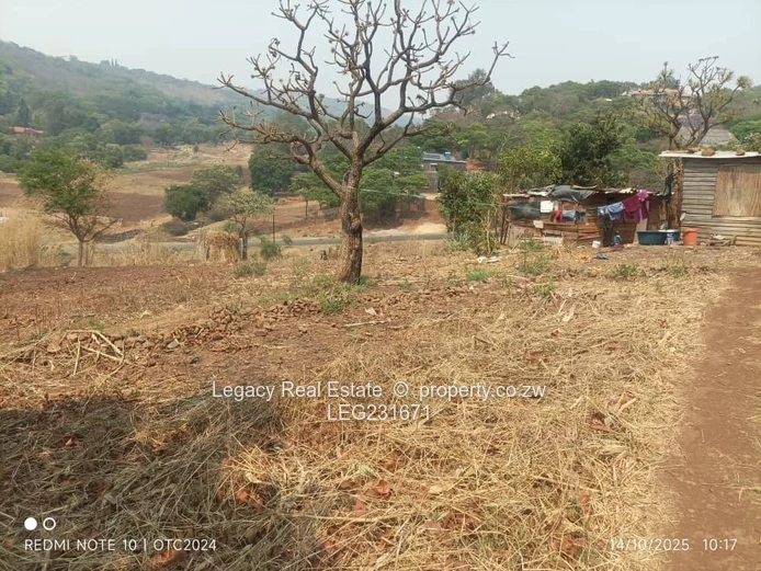 Exclusive Glen Lorne Stand Overlooking Glen Helen Way