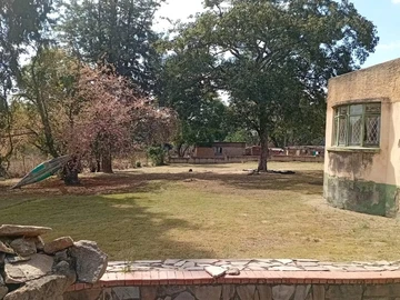 Farm & Agricultural Land