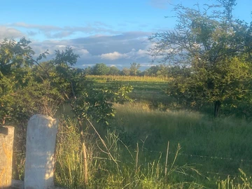 Farm & Agricultural Land