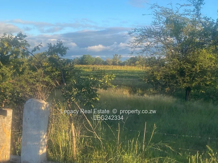 Prime Agricultural Land for Sale – Chegutu (10 Hectares)